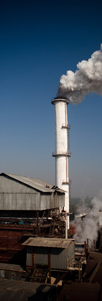 About Birla Sugar