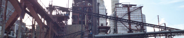 Bharat Sugar Mills